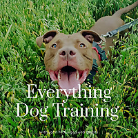 Everything Dog Training!