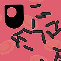 Seven Wonders of the Microbe World - for iPod/iPhone