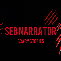 Seb Narrator