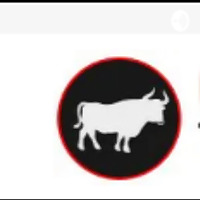 Winning Mindset of a Trader