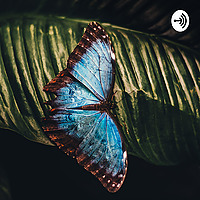 Surviving to thriving with suicide loss