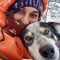 Sled Dog Podcast