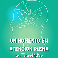 Un Momento en Atenci&oacute;n Plena
