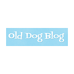 Old Dog Blog