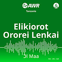 AWR - Elikiorot Ororei Lenkai