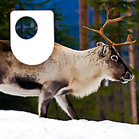 Evolution - for iPod/iPhone