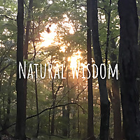 Natural Wisdom