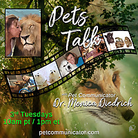 Pets Talk: with Pet Communicator Dr. Monica Diedrich