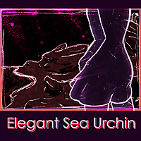 Elegant Sea Urchin