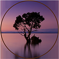 Melchizedek Tabernacle Of Victory