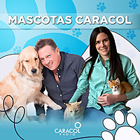Mascotas Caracol