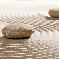 Mindfulness for Teens and Middle Schoolers