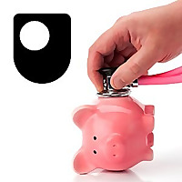 Fiscal Responsibility and Monetary Policy - for iPod/iPhone