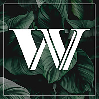 First Woodway Sermons