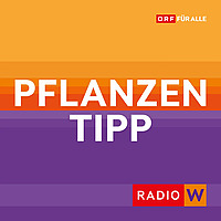 Radio Wien Pflanzentipp