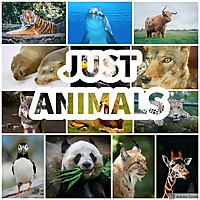 Just Animals