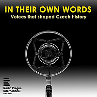 In Their Own Words