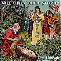 Wee Ones&#39; Bible Stories by Anonymous