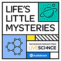 Life's Little Mysteries
