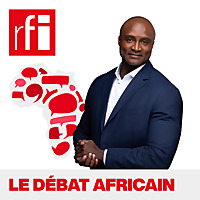 Le d&eacute;bat africain