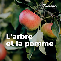 L'arbre et la pomme