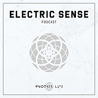 Electric Sense