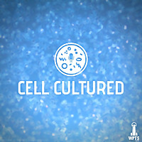 Cell Cultured