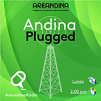 Andina Plugged - Areandina Radio