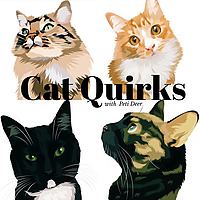 Cat Quirks