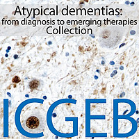 Atypical dementias: from diagnosis to emerging therapies