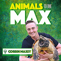 Animals To The Max Podcast