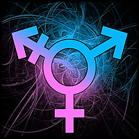 Positively Trans Podcast