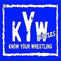 Know Your Wrestling Turtles