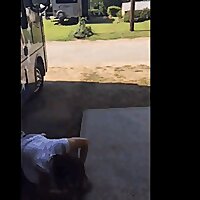 Barstool Dixie On The Road