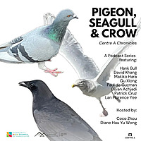 Pigeon, Seagull & Crow: Centre A Chronicles