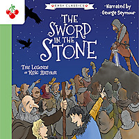 The Sword In The Stone (Easy Classics)