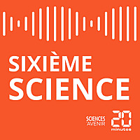 Sixième Science