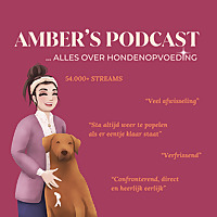 Amber's Podcast