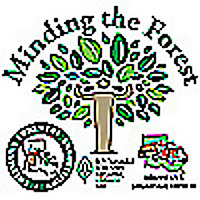 Minding the Forest