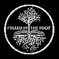 Pulled By The Root - Amplifying Adoption Issues