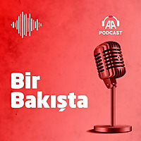 Bir bakışta