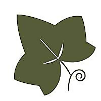 Immaculate Vegan Blog