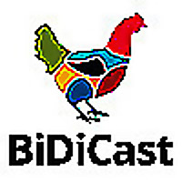 BiDiCast