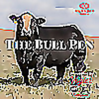 The Bull Pen