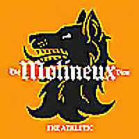 The Molineux View - A show about Wolves