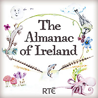 The Almanac of Ireland
