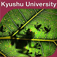 集団生物学