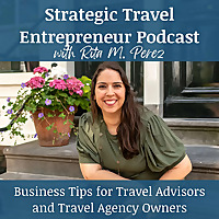 Strategic Travel Entrepreneur: Business Tips for Travel Agents/Advisors, Travel Agency Owners, and T