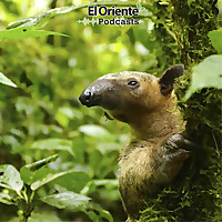 La Voz de la Amazon&iacute;a