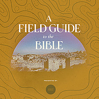 A Field Guide to the Bible